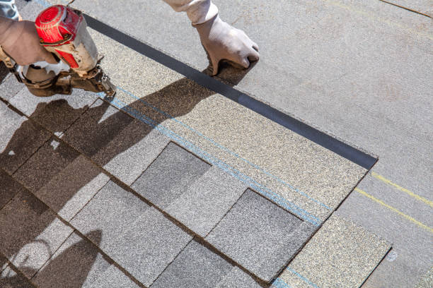 Best Storm Damage Roof Repair  in Andusia, AL